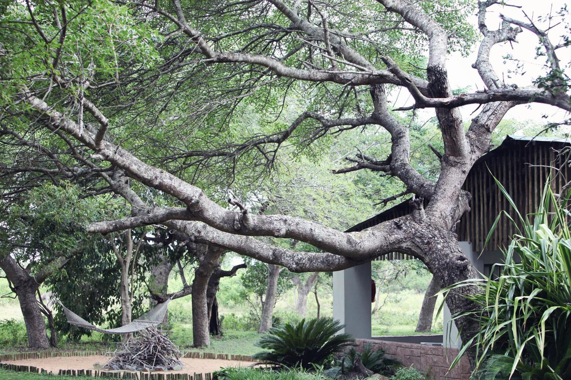 Emdoneni Lodge With Zululand Cat Conservation Project Hluhluwe Dış mekan fotoğraf