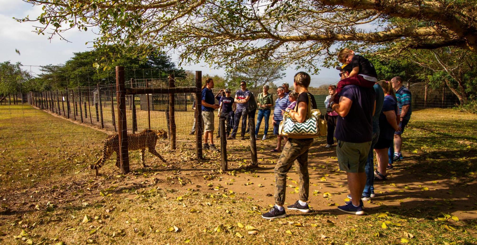 Emdoneni Lodge With Zululand Cat Conservation Project Hluhluwe Dış mekan fotoğraf